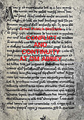 Conflict and Continuity at Øm Abbey