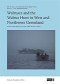 Walruses and the Walrus Hunt in West and Northwest Greenland